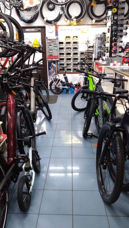 Interiér prodejny s koly a příslušenstvím